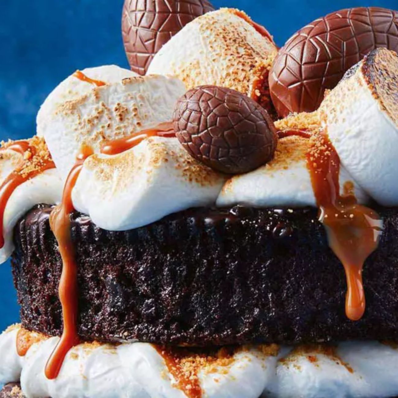 S'Mores chocolate mud cake hack